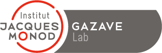 Logo_PNG_GAZAVE